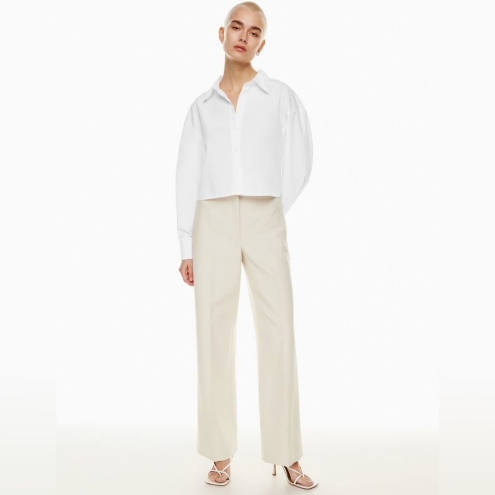Aritzia Babaton Copeland Pant